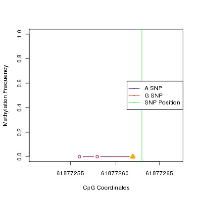Allele Specific Methylation Frequency Diagram for chr20 61877263 SNP.