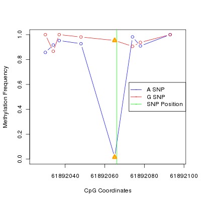 Allele Specific Methylation Frequency Diagram for chr20 61892066 SNP.