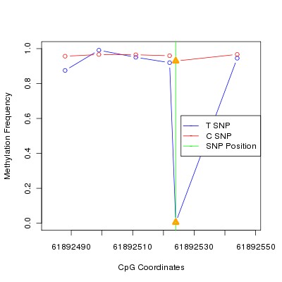 Allele Specific Methylation Frequency Diagram for chr20 61892524 SNP.