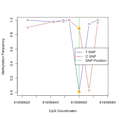 Allele Specific Methylation Frequency Diagram for chr20 61909660 SNP.