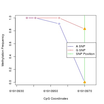 Allele Specific Methylation Frequency Diagram for chr20 61910970 SNP.