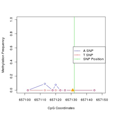 Allele Specific Methylation Frequency Diagram for chr20 657132 SNP.