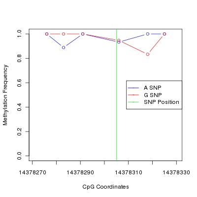 Allele Specific Methylation Frequency Diagram for chr21 14378305 SNP.