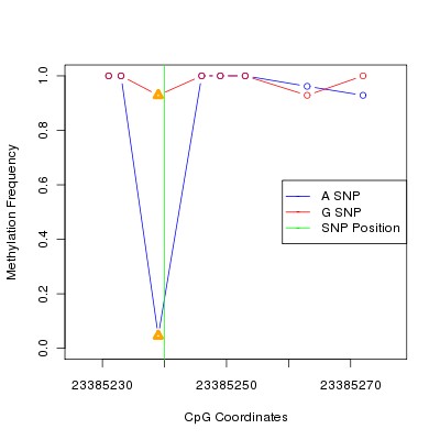 Allele Specific Methylation Frequency Diagram for chr22 23385240 SNP.