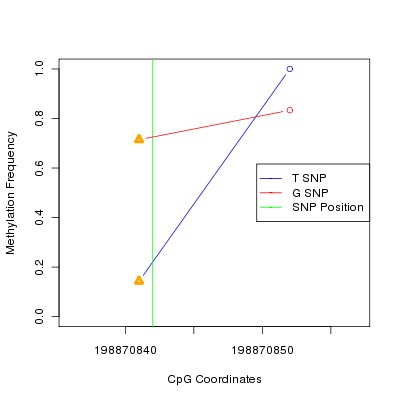 Allele Specific Methylation Frequency Diagram for chr3 198870842 SNP.