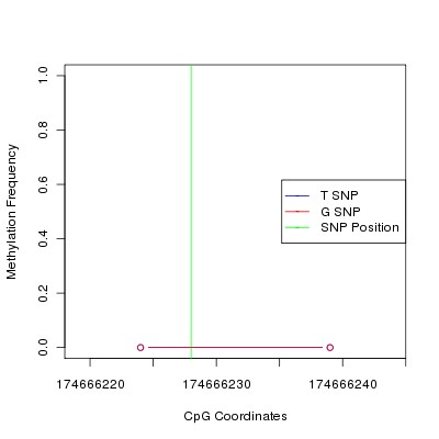 Allele Specific Methylation Frequency Diagram for chr4 174666228 SNP.
