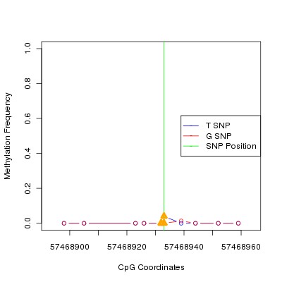 Allele Specific Methylation Frequency Diagram for chr4 57468933 SNP.