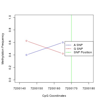 Allele Specific Methylation Frequency Diagram for chr8 7200170 SNP.