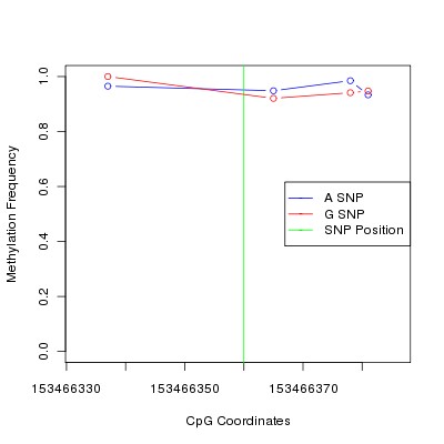 Allele Specific Methylation Frequency Diagram for chrX 153466360 SNP.