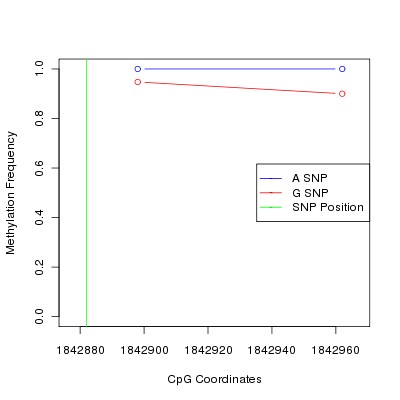 Allele Specific Methylation Frequency Diagram for chr11 1842882 SNP.