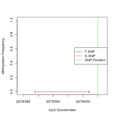 Allele Specific Methylation Frequency Diagram for chr11 2279405 SNP.