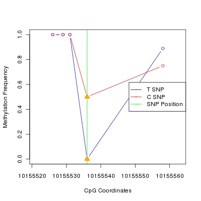 Allele Specific Methylation Frequency Diagram for chr12 10155536 SNP.