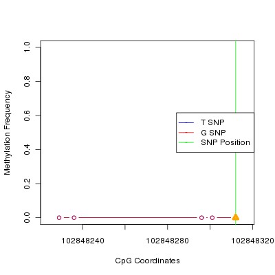Allele Specific Methylation Frequency Diagram for chr12 102848312 SNP.
