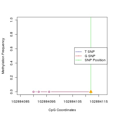 Allele Specific Methylation Frequency Diagram for chr12 102884112 SNP.