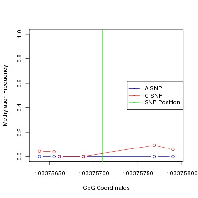 Allele Specific Methylation Frequency Diagram for chr12 103375710 SNP.