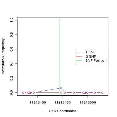 Allele Specific Methylation Frequency Diagram for chr12 11215443 SNP.