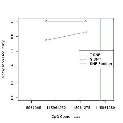 Allele Specific Methylation Frequency Diagram for chr12 115961279 SNP.