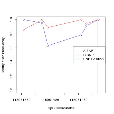 Allele Specific Methylation Frequency Diagram for chr12 115961487 SNP.