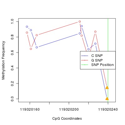 Allele Specific Methylation Frequency Diagram for chr12 119320240 SNP.