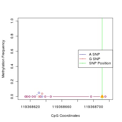 Allele Specific Methylation Frequency Diagram for chr12 119368711 SNP.