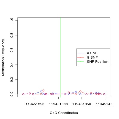 Allele Specific Methylation Frequency Diagram for chr12 119451304 SNP.