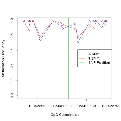 Allele Specific Methylation Frequency Diagram for chr12 123422613 SNP.