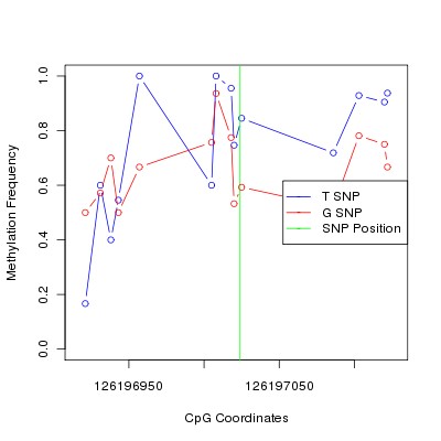 Allele Specific Methylation Frequency Diagram for chr12 126197024 SNP.