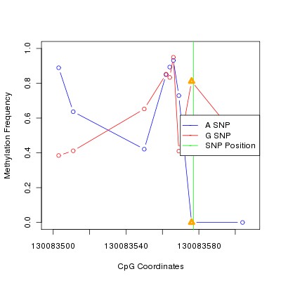 Allele Specific Methylation Frequency Diagram for chr12 130083577 SNP.