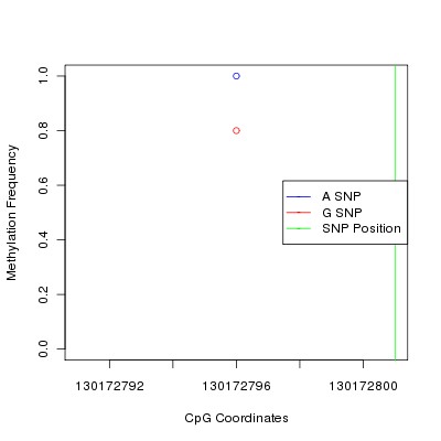 Allele Specific Methylation Frequency Diagram for chr12 130172801 SNP.