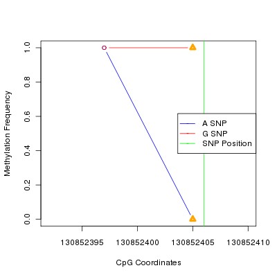 Allele Specific Methylation Frequency Diagram for chr12 130852406 SNP.