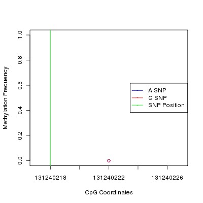 Allele Specific Methylation Frequency Diagram for chr12 131240218 SNP.