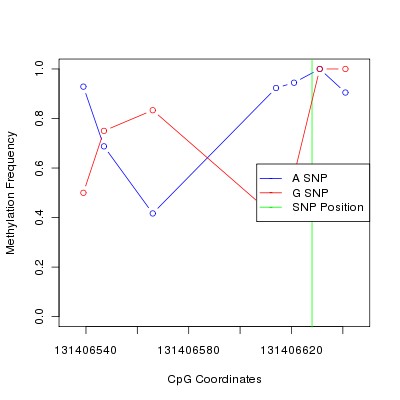 Allele Specific Methylation Frequency Diagram for chr12 131406628 SNP.