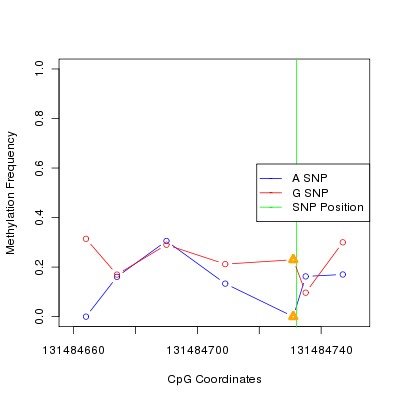 Allele Specific Methylation Frequency Diagram for chr12 131484732 SNP.