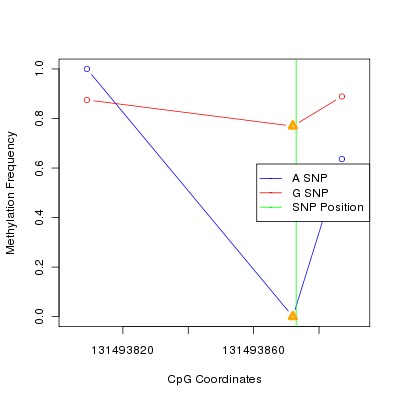 Allele Specific Methylation Frequency Diagram for chr12 131493873 SNP.