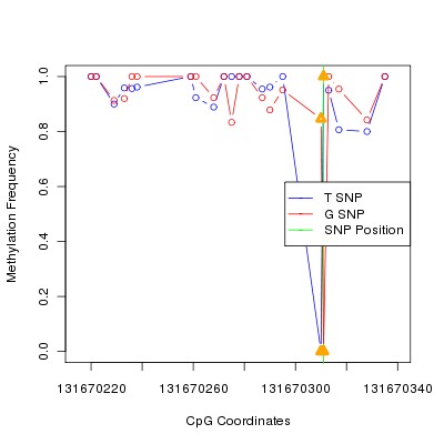 Allele Specific Methylation Frequency Diagram for chr12 131670311 SNP.