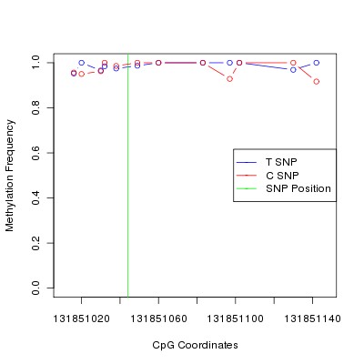 Allele Specific Methylation Frequency Diagram for chr12 131851044 SNP.