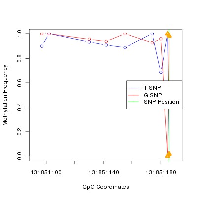Allele Specific Methylation Frequency Diagram for chr12 131851186 SNP.