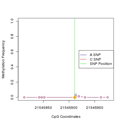 Allele Specific Methylation Frequency Diagram for chr12 21545911 SNP.