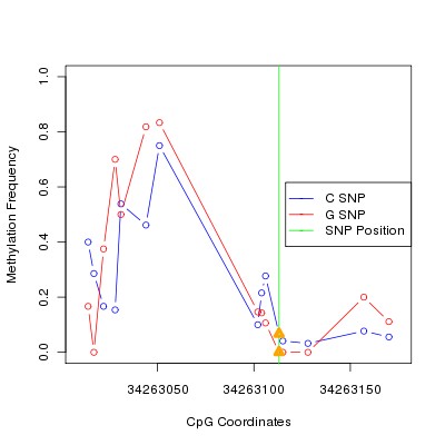 Allele Specific Methylation Frequency Diagram for chr12 34263113 SNP.