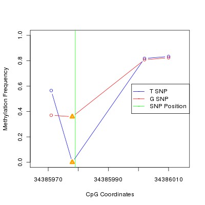 Allele Specific Methylation Frequency Diagram for chr12 34385979 SNP.