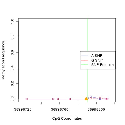 Allele Specific Methylation Frequency Diagram for chr12 36996790 SNP.