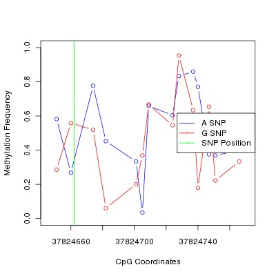 Allele Specific Methylation Frequency Diagram for chr12 37824662 SNP.