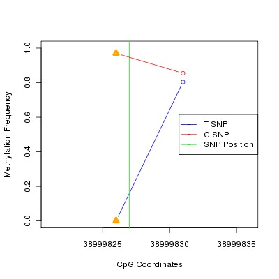 Allele Specific Methylation Frequency Diagram for chr12 38999827 SNP.