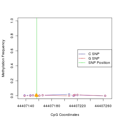 Allele Specific Methylation Frequency Diagram for chr12 44407157 SNP.