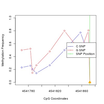 Allele Specific Methylation Frequency Diagram for chr12 4541872 SNP.