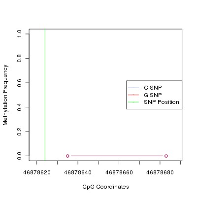 Allele Specific Methylation Frequency Diagram for chr12 46878624 SNP.