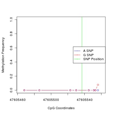 Allele Specific Methylation Frequency Diagram for chr12 47605537 SNP.