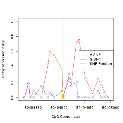 Allele Specific Methylation Frequency Diagram for chr12 50494908 SNP.