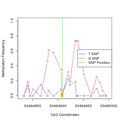 Allele Specific Methylation Frequency Diagram for chr12 50494909 SNP.