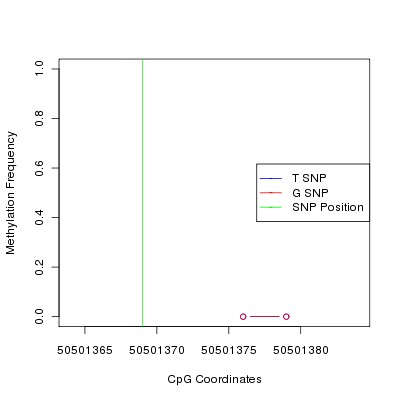Allele Specific Methylation Frequency Diagram for chr12 50501369 SNP.